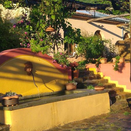 Podere Di Maggio - Glamping Tent 3 Santa Fiora Dış mekan fotoğraf