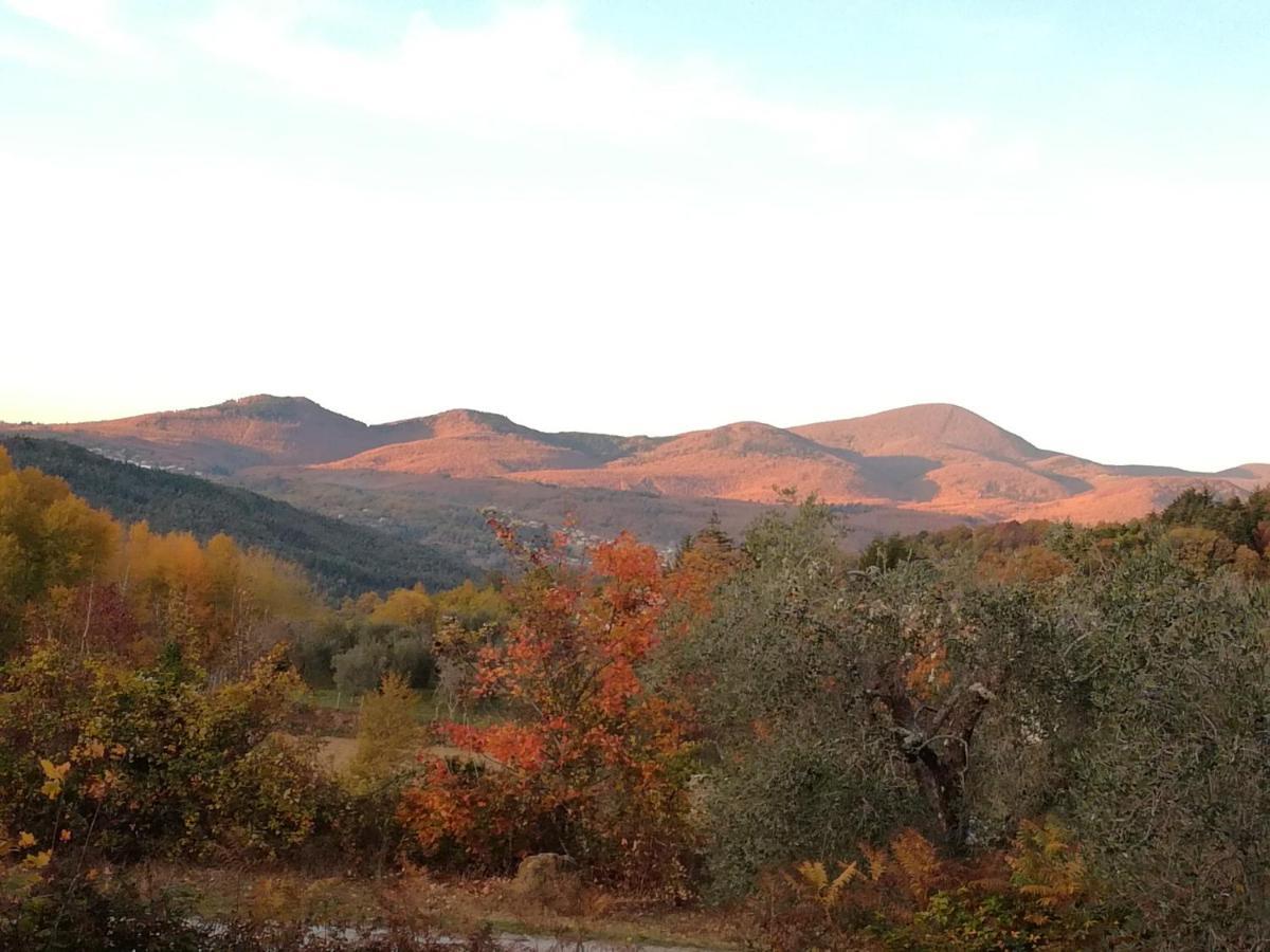 Podere Di Maggio - Glamping Tent 3 Santa Fiora Dış mekan fotoğraf