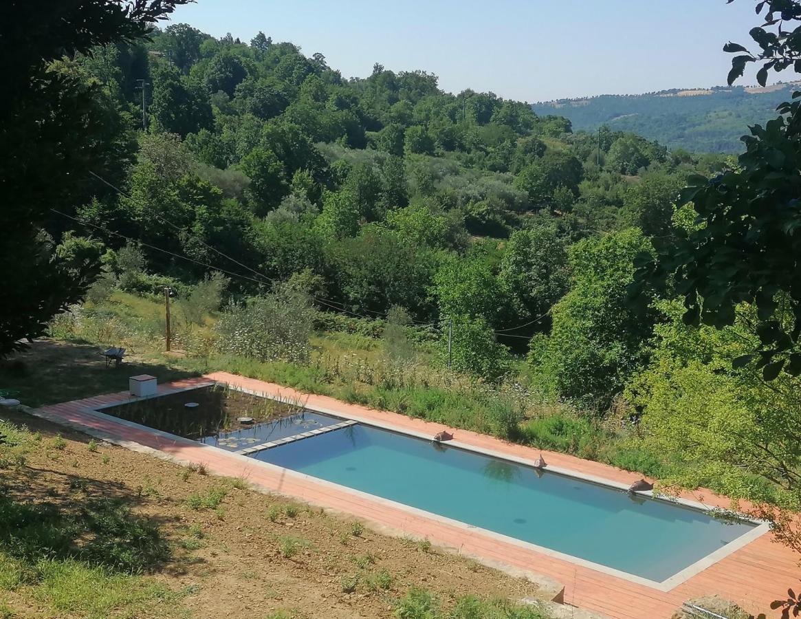 Podere Di Maggio - Glamping Tent 3 Santa Fiora Dış mekan fotoğraf