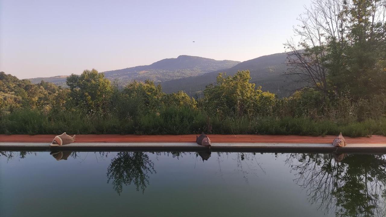 Podere Di Maggio - Glamping Tent 3 Santa Fiora Dış mekan fotoğraf