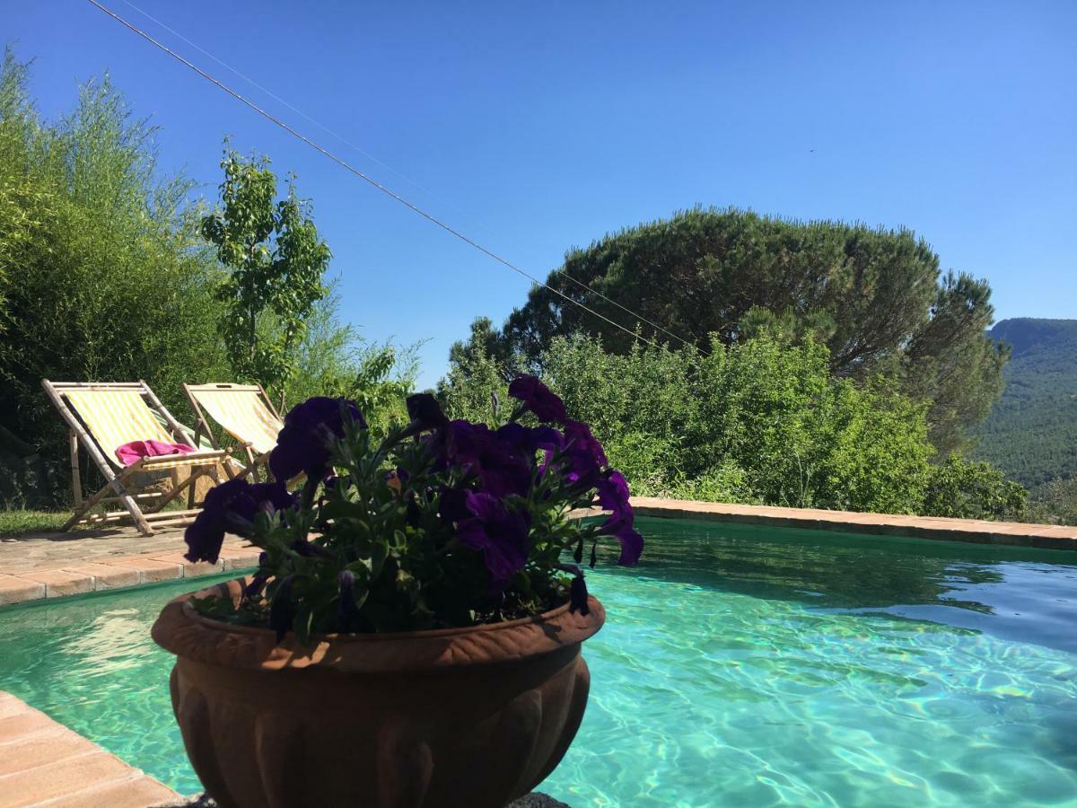 Podere Di Maggio - Glamping Tent 3 Santa Fiora Dış mekan fotoğraf